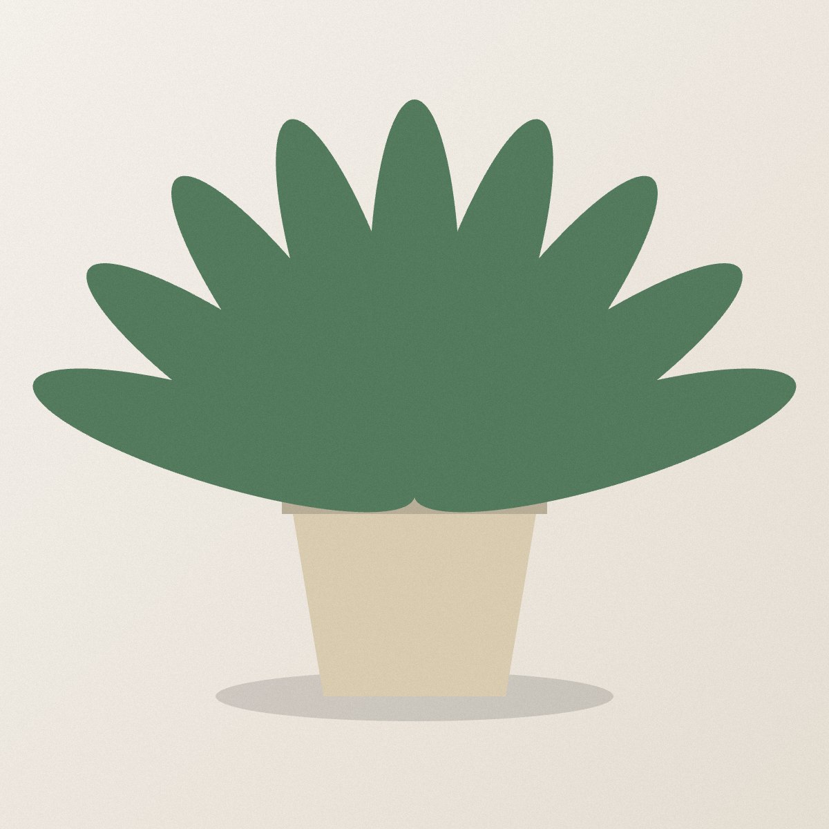 ZZ plant