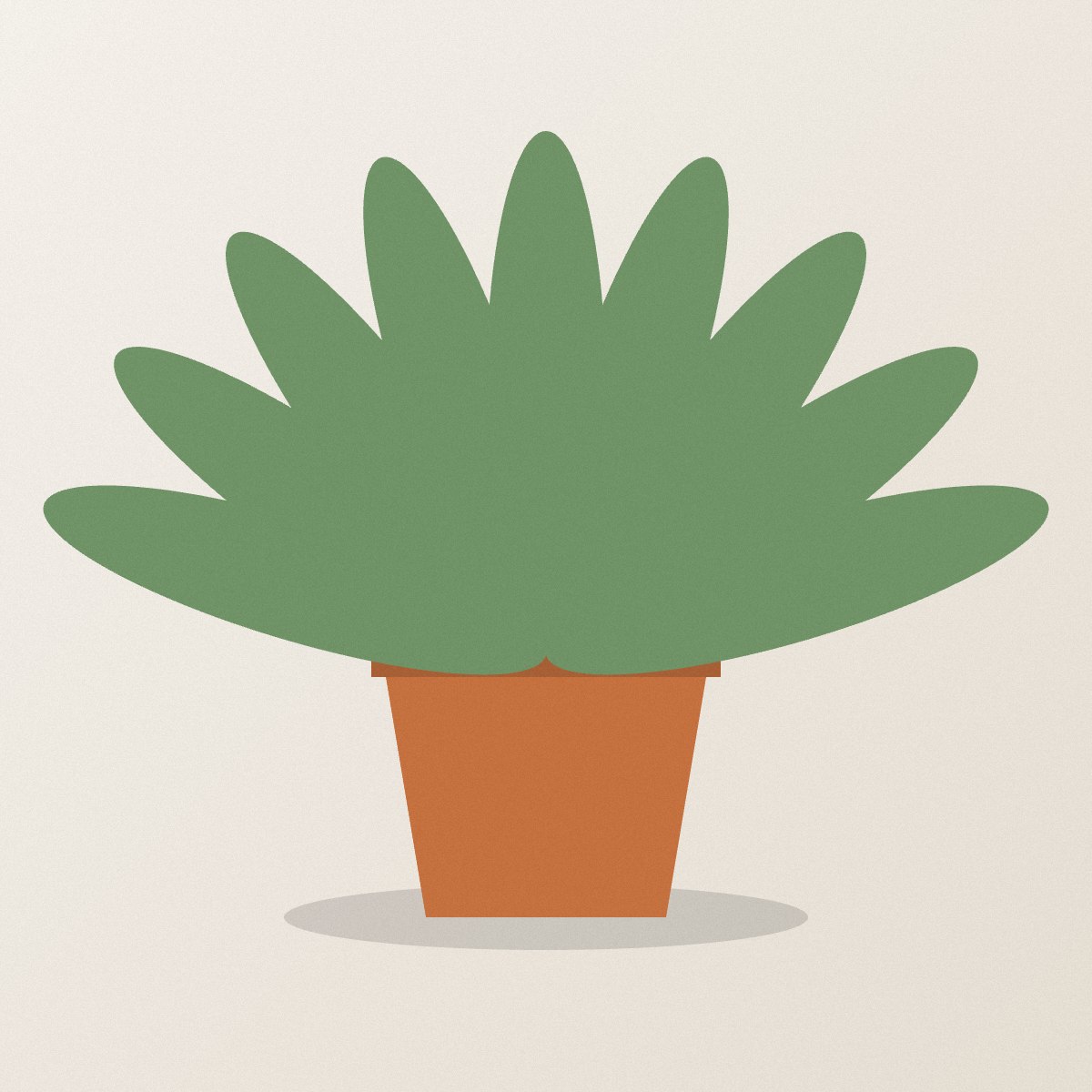 Snake plant